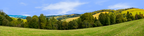 Forest Row Of Trees On The Grassy Hills center repeatable