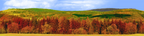 Forested Mountain in Autumn right continuous