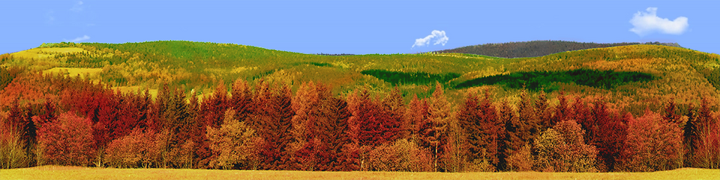 Forested Mountain in Autumn right continuous