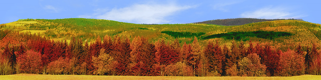 Forested Mountain in Autumn right continuous