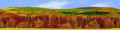 Forested Mountain in Autumn right continuous