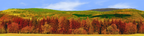 Forested Mountain in Autumn right continuous