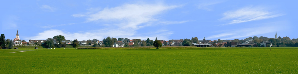 Houses Behind Grren Meadow right