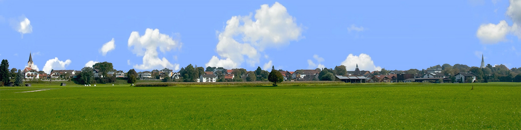 Houses Behind Grren Meadow right