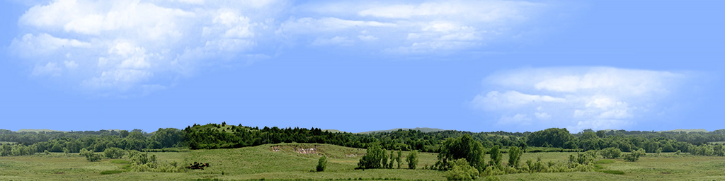 Kansas Pasture Vista center repeatable