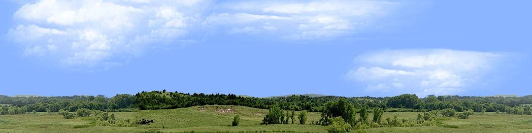 Kansas Pasture Vista center repeatable