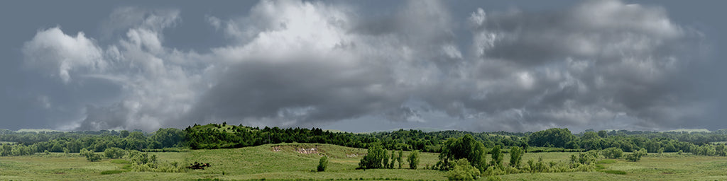 Kansas Pasture Vista center repeatable