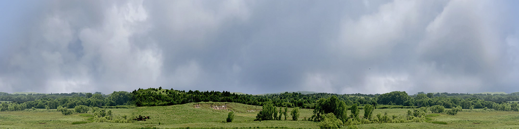 Kansas Pasture Vista center repeatable