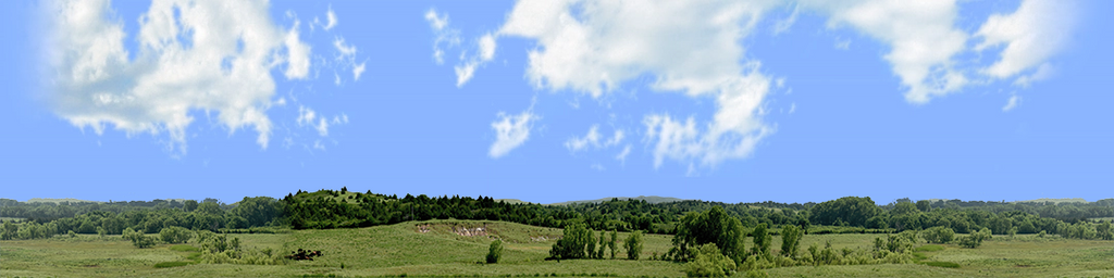 Kansas Pasture Vista center repeatable