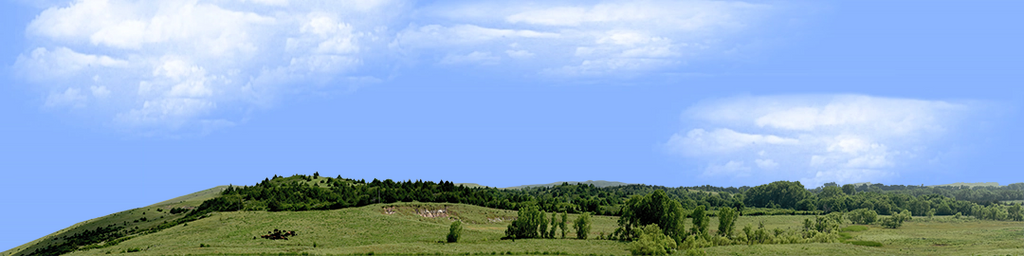 Kansas Pasture Vista left