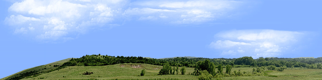 Kansas Pasture Vista left