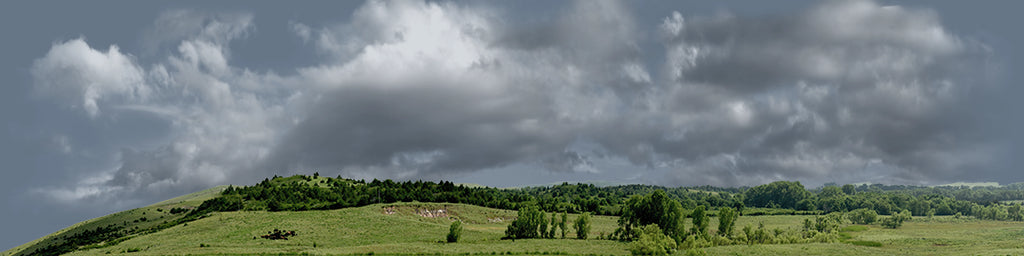 Kansas Pasture Vista left