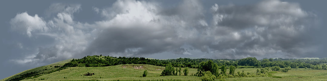 Kansas Pasture Vista left