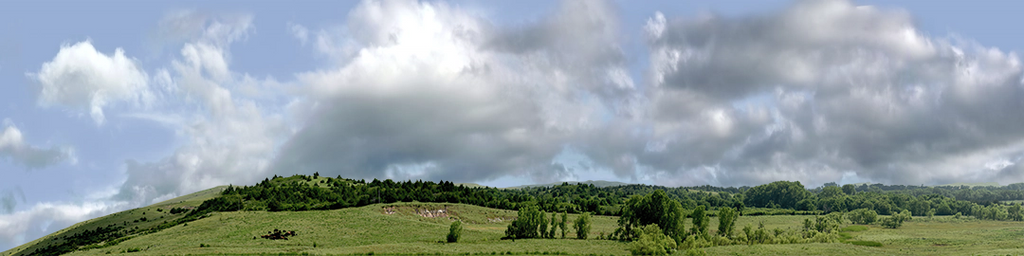 Kansas Pasture Vista left