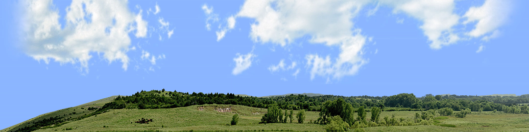 Kansas Pasture Vista left
