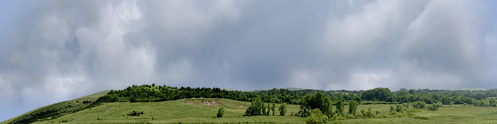 Kansas Pasture Vista left
