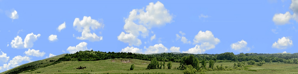 Kansas Pasture Vista left