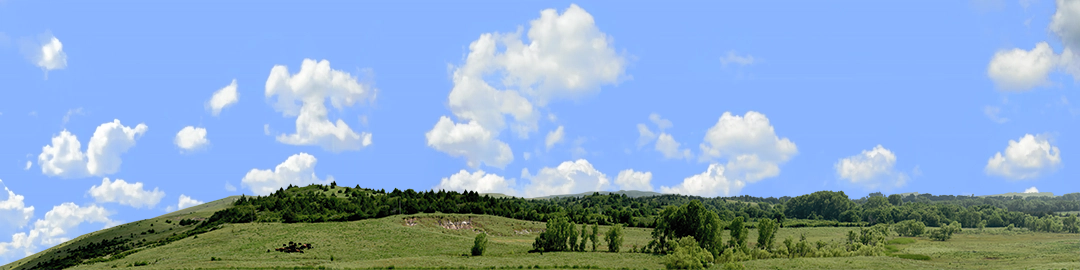 Kansas Pasture Vista left