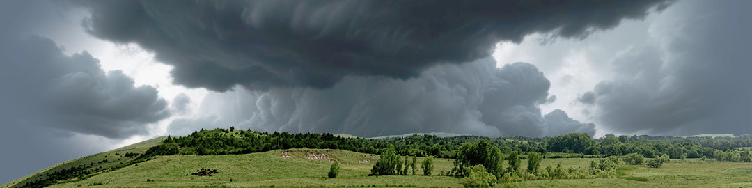 Kansas Pasture Vista left