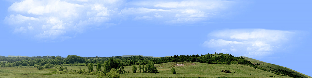 Kansas Pasture Vista right