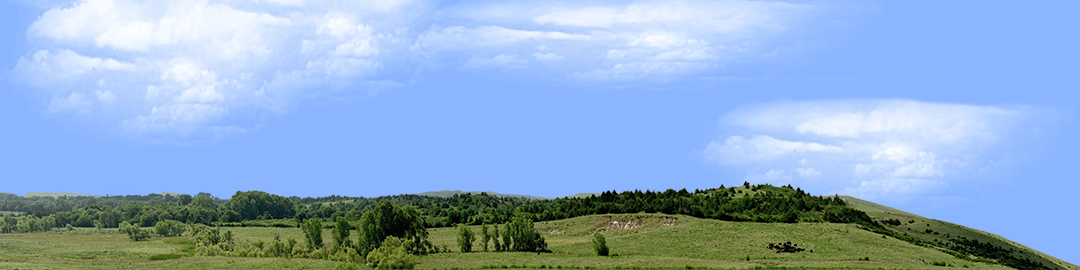 Kansas Pasture Vista right