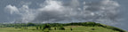 Kansas Pasture Vista right