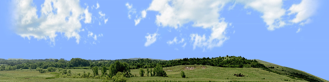 Kansas Pasture Vista right