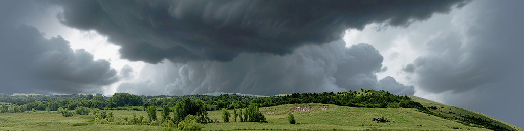 Kansas Pasture Vista right