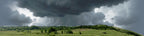 Kansas Pasture Vista right