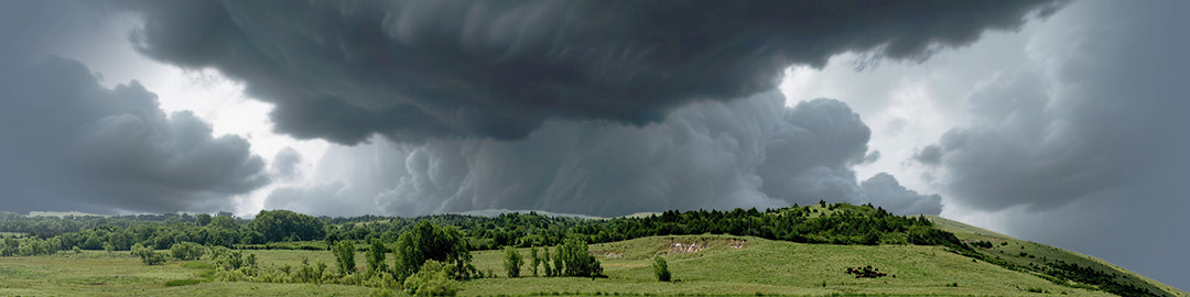 Kansas Pasture Vista right