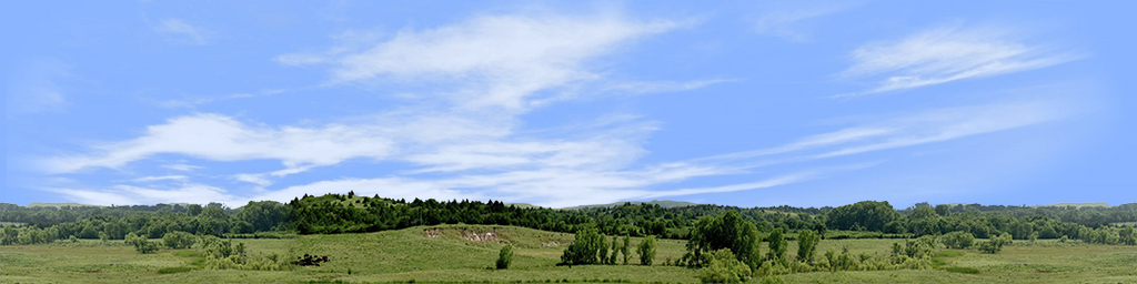 Kansas Pasture Vista center repeatable