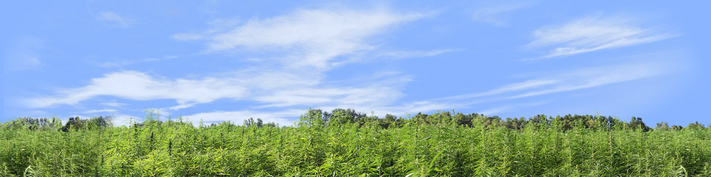 Marijuana Farm California center repeatable