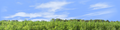 Marijuana Farm California right