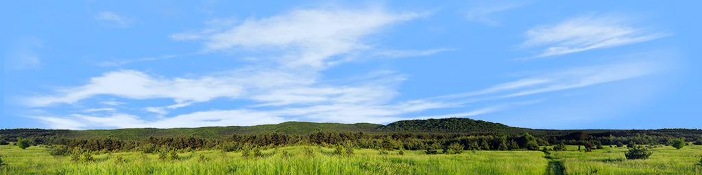 Meadow and Forested Hills in Spring center repeatable