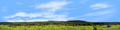 Meadow and Forested Hills in Spring center repeatable