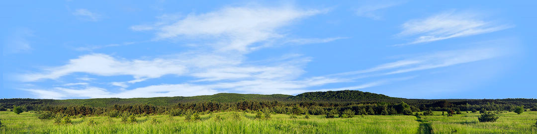 Meadow and Forested Hills in Spring center repeatable