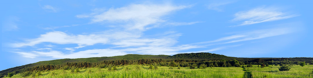 Meadow and Forested Hills in Spring left