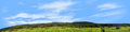Meadow and Forested Hills in Spring left