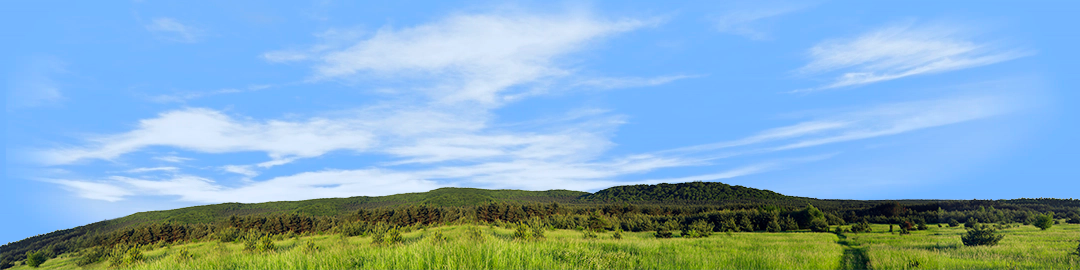 Meadow and Forested Hills in Spring left