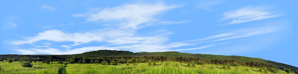 Meadow and Forested Hills in Spring right