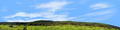 Meadow and Forested Hills in Spring right