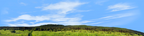 Meadow and Forested Hills in Spring right