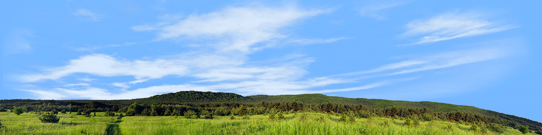 Meadow and Forested Hills in Spring right