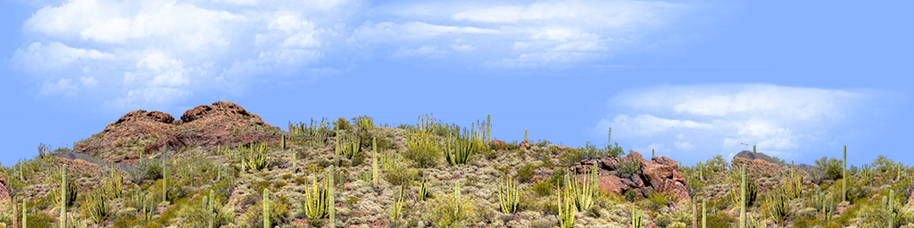 Organ Pipe Cactus National Monument Vista part 1 repeatable