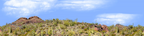 Organ Pipe Cactus National Monument Vista part 1 repeatable