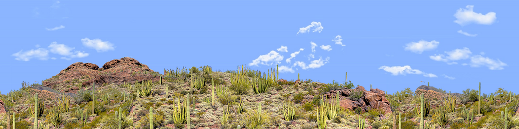 Organ Pipe Cactus National Monument Vista part 1 repeatable