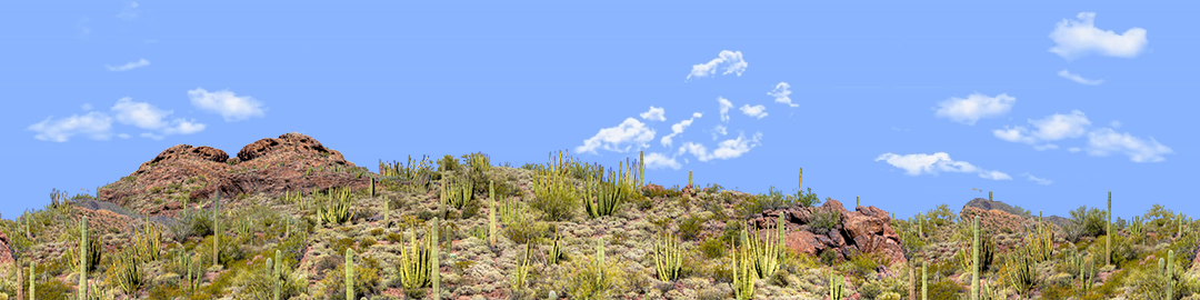 Organ Pipe Cactus National Monument Vista part 1 repeatable