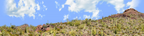 Organ Pipe Cactus National Monument Vista part 2