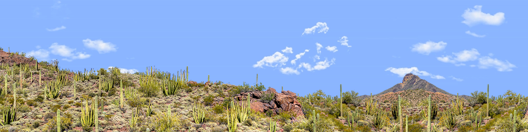 Organ Pipe Cactus National Monument Vista part 3