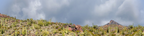 Organ Pipe Cactus National Monument Vista part 3